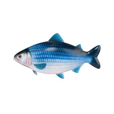 THE FISH BAG